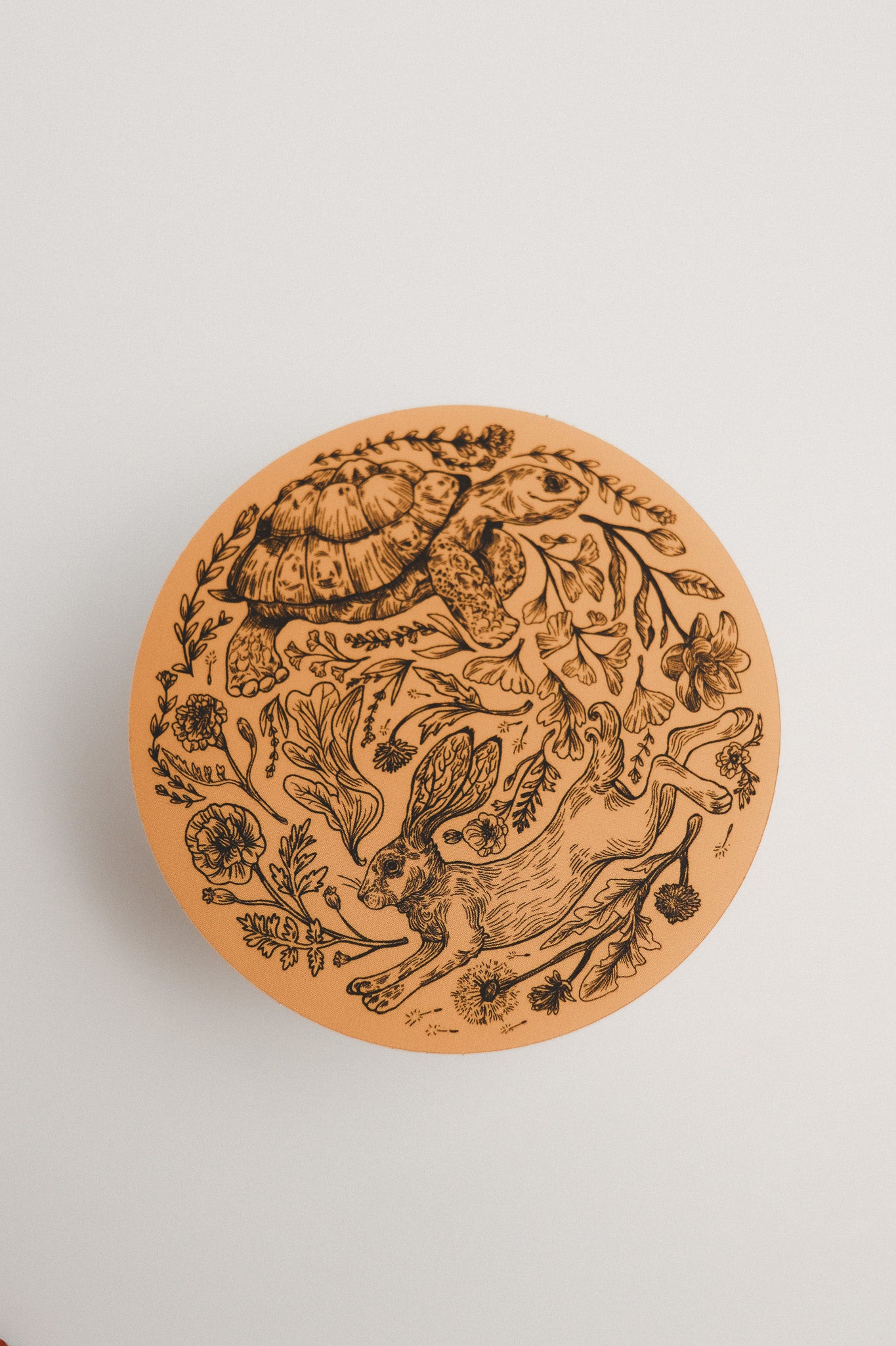 Tortoise & the Hare Sticker