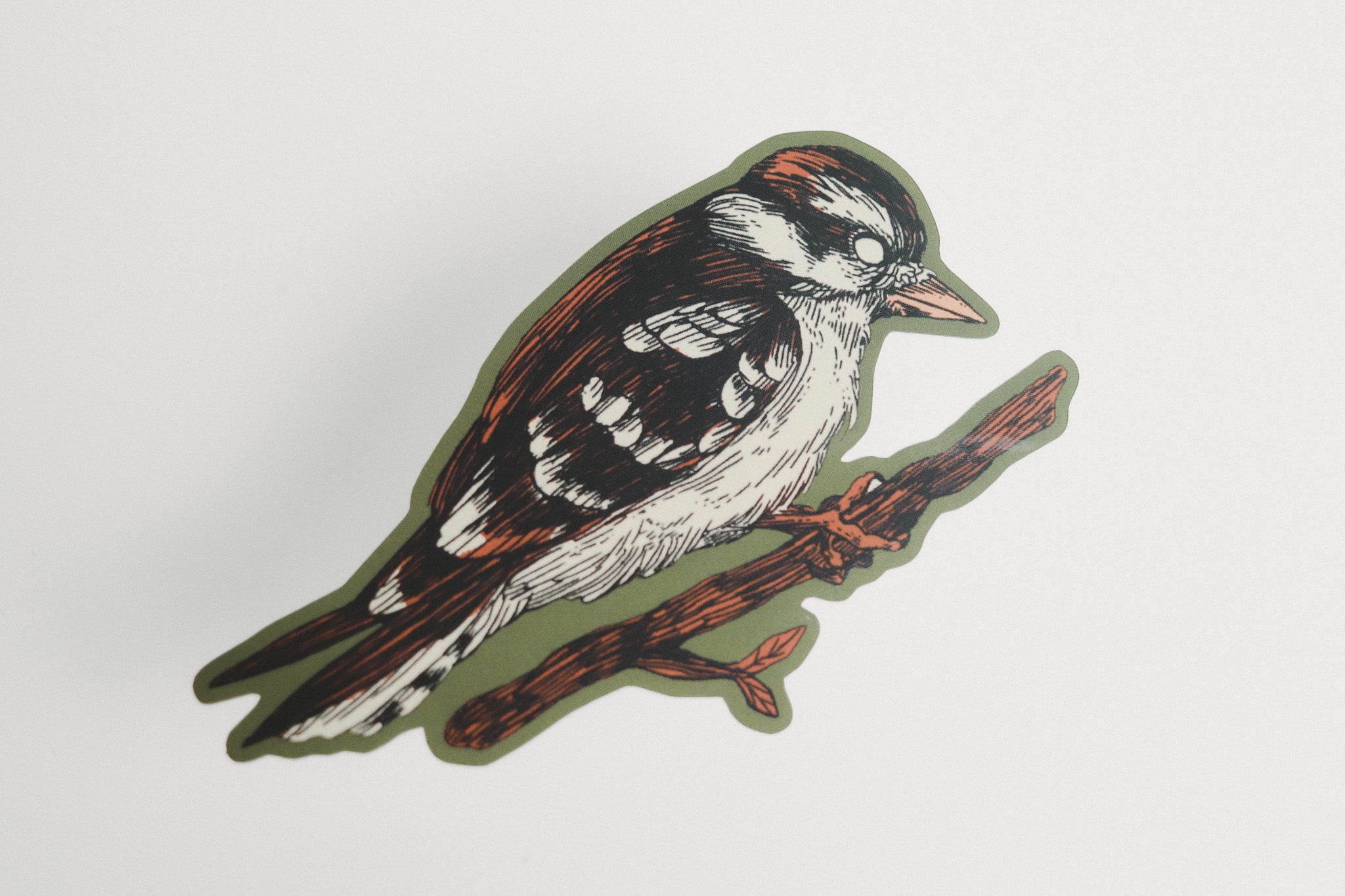 Downy Woodpecker Sticker