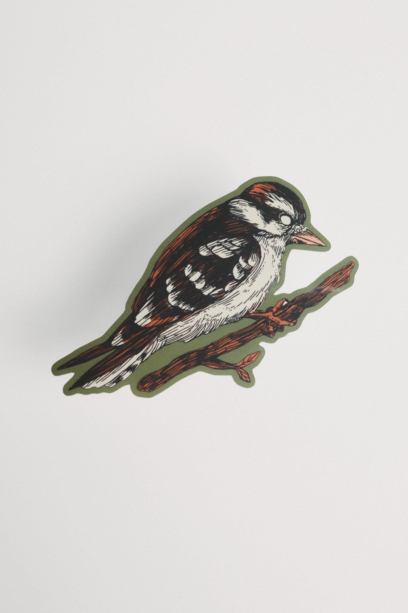 Downy Woodpecker Sticker